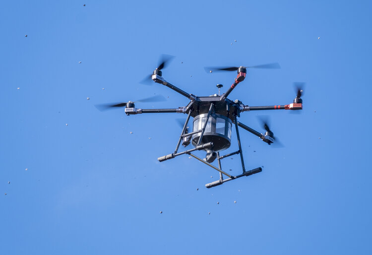 Image of a drone dropping pods filled with seeds over the Hunua Ranges
